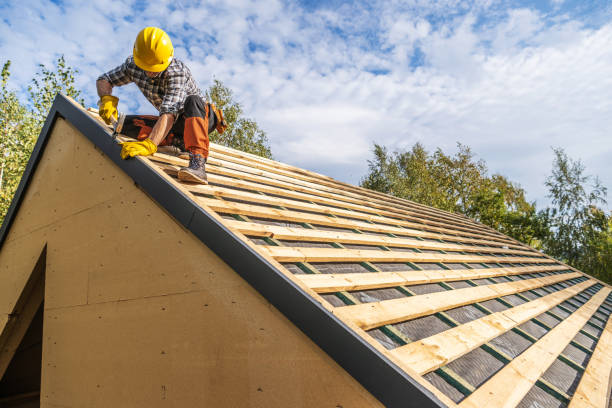 Best Roof Restoration Services  in Fobes Hill, WA